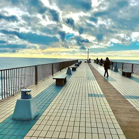 Abelia 4 Pietra Ligure