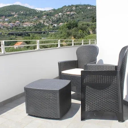 Abelia 4 *